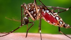 preventative steps to avoid the Zika Virus