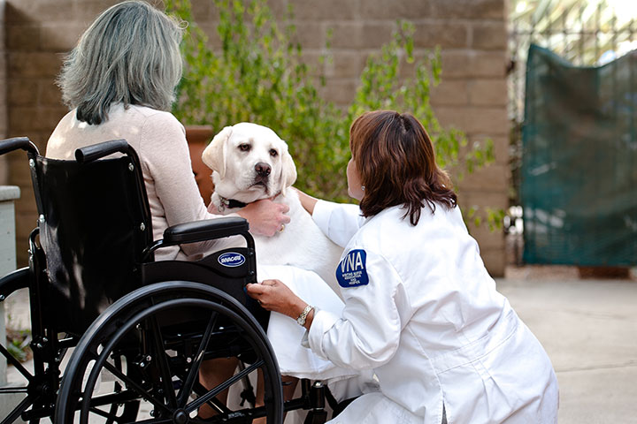 Pet therapy Volunteer