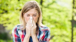 blog_allergies_or_just_a_cold | Central Coast VNA & Hospice
