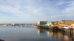 best ways to stay healthy during summer