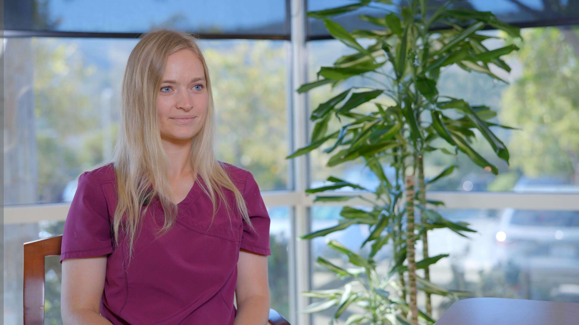 4 stages of palliative care